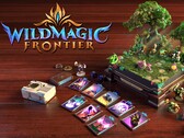 Visuel promotionnel officiel de Wildmagic Frontier.