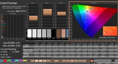 CalMAN : ColorChecker