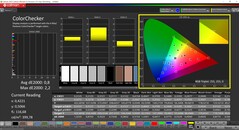 CalMAN ColorChecker (profil : sRGB, espace couleur cible sRGB)