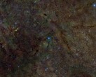 Image composite montrant une section du milieu interstellaire radiographiée pour le soufre (Source de l'image : DSS, DECaPS, eRosita, et NASA ; recadré)
