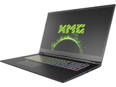 Test du Schenker XMG Pro 17 (RTX 3080) : PC portable de jeu ultrafin et station de travail