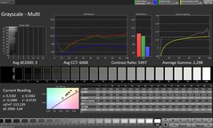CalMAN Niveaux de gris