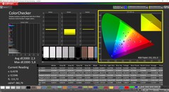 CalMAN ColorChecker (profil TrueColor : Display-P3)