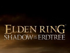 FromSoftware n'est pas pressé de lancer une suite à Elden Ring (image source : FromSoftware)