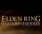 FromSoftware n'est pas pressé de lancer une suite à Elden Ring (image source : FromSoftware)