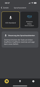 Assistants linguistiques : iOS/iPadOS