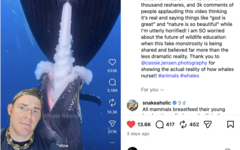 GatorChris explique dans une vidéo que les baleines ne se nourrissent pas de cette façon