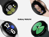 La Galaxy Watch4 sera bientôt éligible aux builds bêta de One UI Watch. (Image source : Samsung)