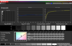CalMAN niveaux de gris calibrés