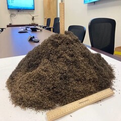Un tas d&#039;un million de moustiques (Source de l&#039;image : The Lee County Mosquito Control District ; recadré)
