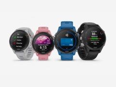 Les rumeurs concernant la Garmin Forerunner 265 ont commencé peu après le lancement de la montre Garmin Forerunner 255 (ci-dessus). (Image source : Garmin)