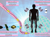 Un ordinateur à fibre unique intégrant des transistors, des diodes, des résistances, des condensateurs et des diodes électroluminescentes dans un fil flexible et lavable (Source de l'image : Nano-Micro Letters) 