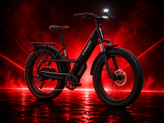 Le Borrego+ est le nouveau vélo électrique à pneus larges de Trek