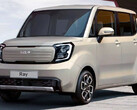 La Ray EV de 2023 utilisera une batterie LFP (image : KIA)