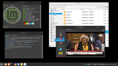 Capture d'écran de la session Wayland encore expérimentale de Cinnamon 6.0 (Image : Linux Mint).