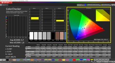 CalMAN ColorChecker (profil : Display P3, espace colorimétrique cible P3)