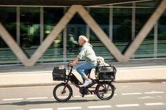 Tern a révélé le vélo électrique Quick Haul avec des accessoires permettant d&#039;adapter le véhicule à vos besoins de transport. (Image source : Tern)