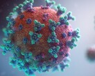 Certaines personnes peuvent souffrir de symptômes à long terme, même après avoir vaincu le coronavirus mortel (Image : Fusion Medical Animation)