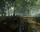 Une image représentant un environnement dans The Forest.