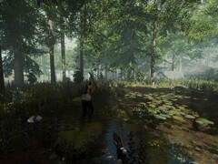 Une image représentant un environnement dans The Forest.