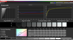 CalMAN: Niveau de gris avant calibration