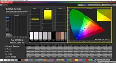 CalMAN ColorChecker (profil Schenker)