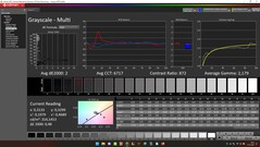 CalMAN : Échelles de gris (calibrées)