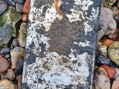 Après avoir été immergé pendant cinq ans dans la Tamise, un iPad Mini a permis à la Met Police de résoudre une enquête qui durait depuis six ans. (Source de l'image : Met Police via BBC)