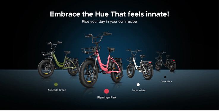 Le vélo électrique ENGWE L20 est disponible en plusieurs couleurs. (Source de l'image : ENGWE)