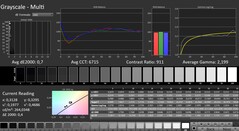 CalMAN : Niveaux de gris (calibrés)