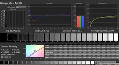 CalMAN : Niveaux de gris (calibrés)