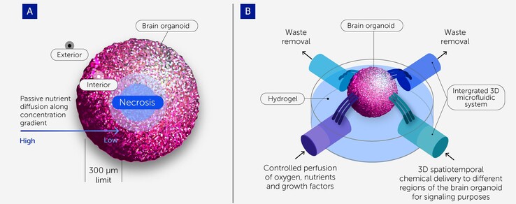 (Image Source : Frontiers of Science)