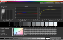 CalMAN Niveaux de gris
