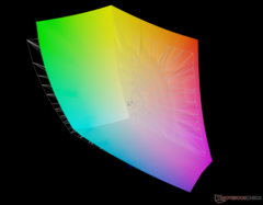 vs. Adobe RGB : 92,1% de couverture