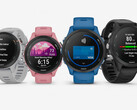 La série Garmin Forerunner 255 se décline en de nombreuses configurations, dont deux tailles. (Image source : Garmin)