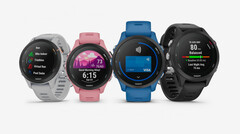 La série Garmin Forerunner 255 se décline en de nombreuses configurations, dont deux tailles. (Image source : Garmin)