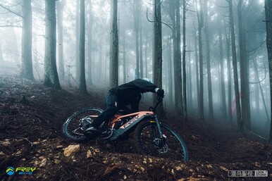 Source d'image : Frey Bike via Electrek