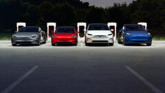 Le prix de la Model Y est désormais identique à celui de la Model 3 au Canada (image : Tesla)