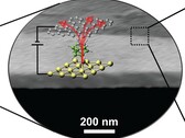 couche de transistors thermiques de 1 nm, fine comme une molécule, placée sur des semi-conducteurs (Source d'image : Science)