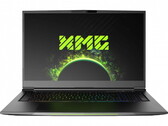 Test du Schenker XMG NEO 17 avec RTX 3080 : RTX 3080 débridée