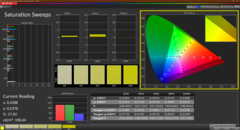 Saturation (ICD P3)