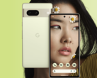 Le Pixel 7 a un écran légèrement plus petit que son prédécesseur. (Image source : Google)