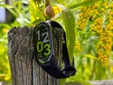 Xiaomi Smart Band 10