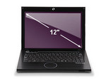 Packard Bell EasyNote BG45-U-300